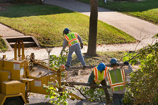 Emergency Storm Tree Removal in Meyersdale, PA